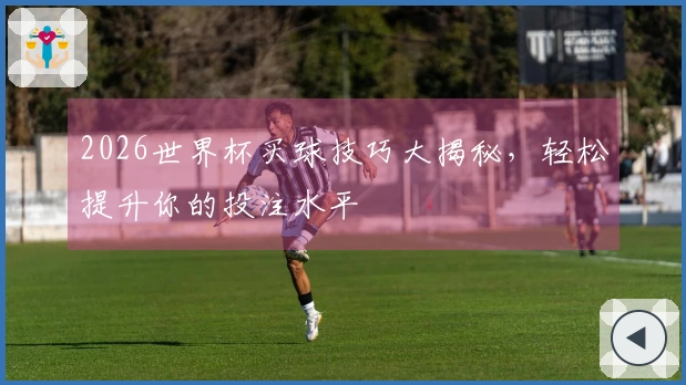 2026世界杯买球技巧大揭秘，轻松提升你的投注水平