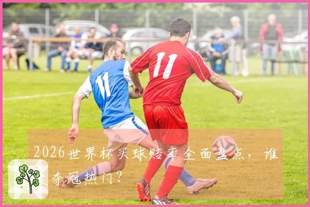 2026世界杯买球赔率全面盘点，谁是夺冠热门？