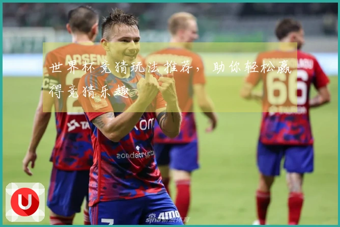 世界杯竞猜玩法推荐，助你轻松赢得竞猜乐趣