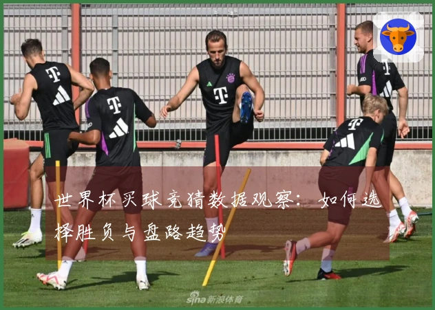 世界杯买球竞猜数据观察：如何选择胜负与盘路趋势