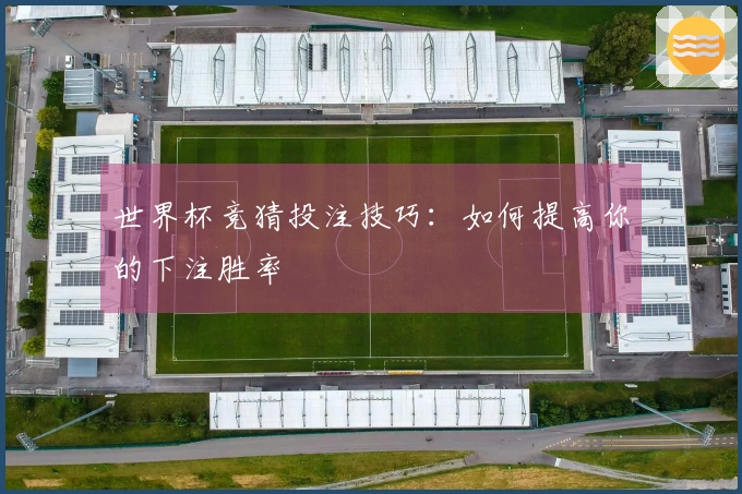 世界杯竞猜投注技巧：如何提高你的下注胜率