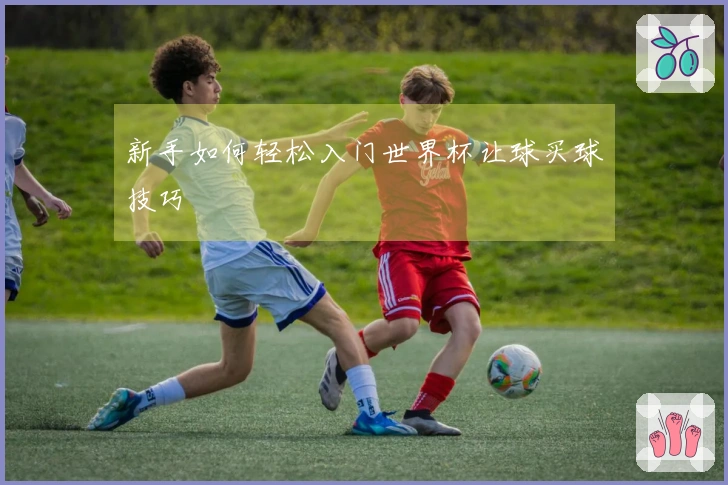 新手如何轻松入门世界杯让球买球技巧